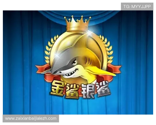 银鲨金鲨游戏安全保障措施详解确保玩家账号信息安全无忧